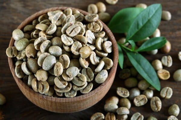 Rico em ácido clorogênico, que pode ajudar a regular os níveis de açúcar no sangue e aumentar a queima de gordura. Possui efeito termogênico que acelera o metabolismo.